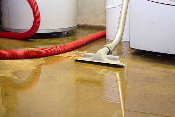 Best Water damage cleanup near me  in Katy, TX