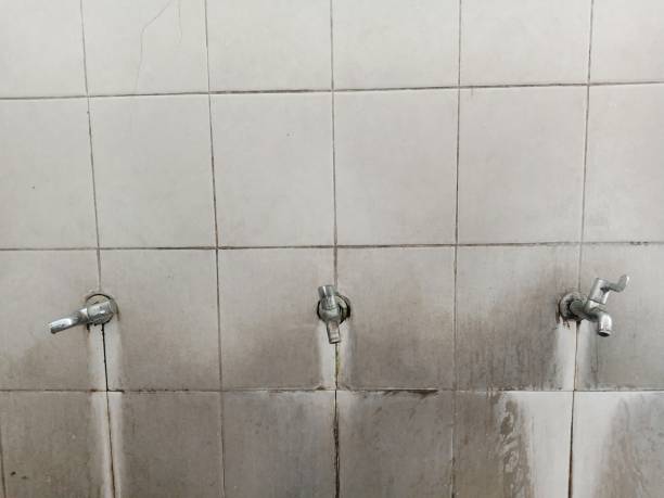 Best 24/7 water damage repair  in Katy, TX