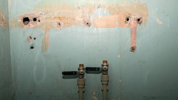 Best Carpet water damage restoration  in Katy, TX