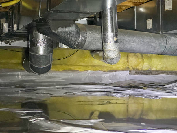 Best Professional water damage repair  in Katy, TX