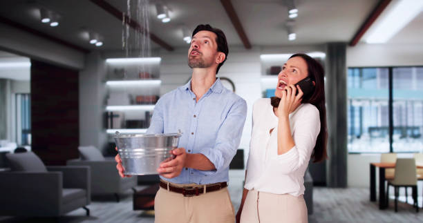 Best Flood damage cleanup  in Katy, TX