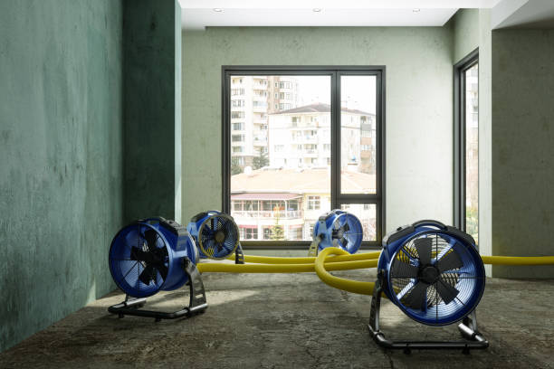 Best Sewage cleanup and water damage restoration  in Katy, TX
